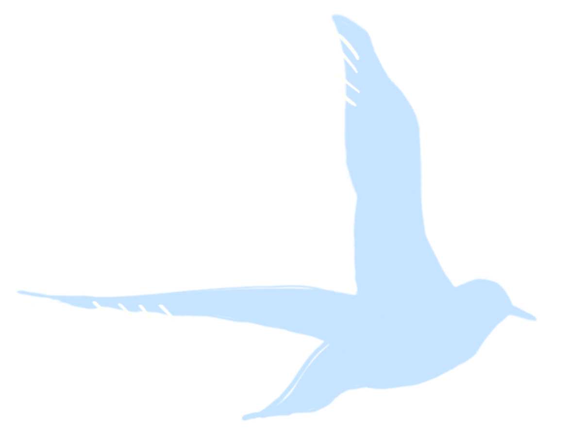 Bird illustration 1