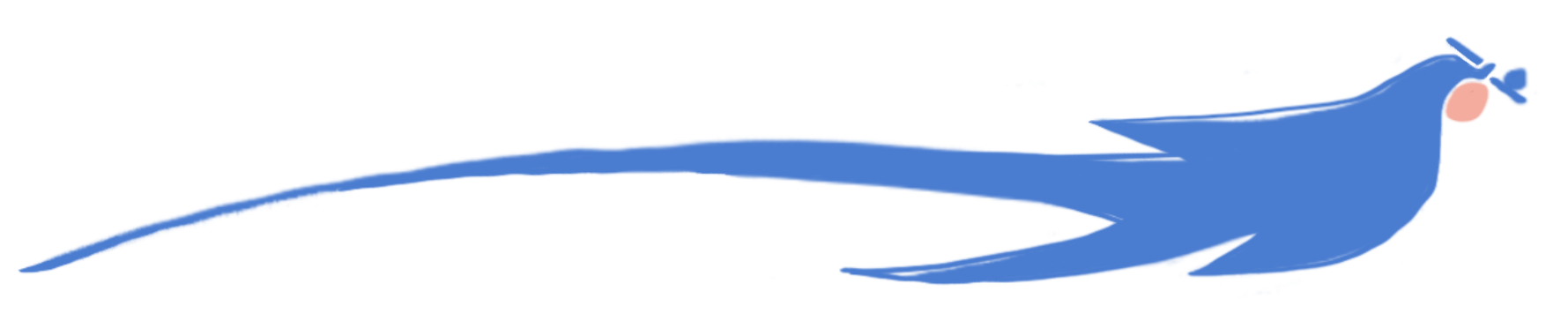 Bird illustration 2
