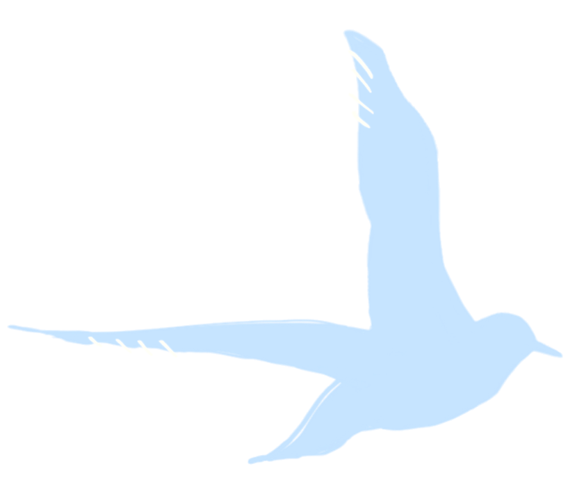 decorative bird